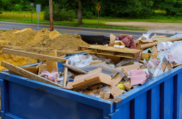 Yard Cleanup Services in Newport, SC